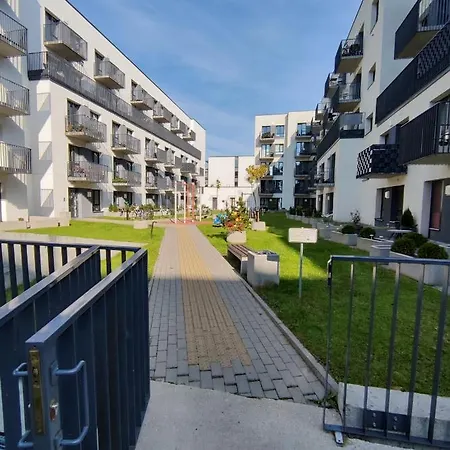 Franny's Bees Vilnius