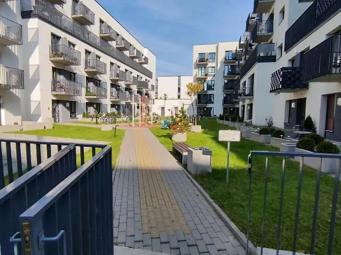 Franny's Bees ヴィリニュス